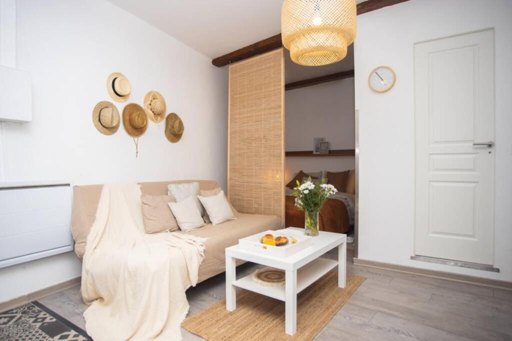 Le Boheme, Cosy, Hypercentre Appartement Grenoble