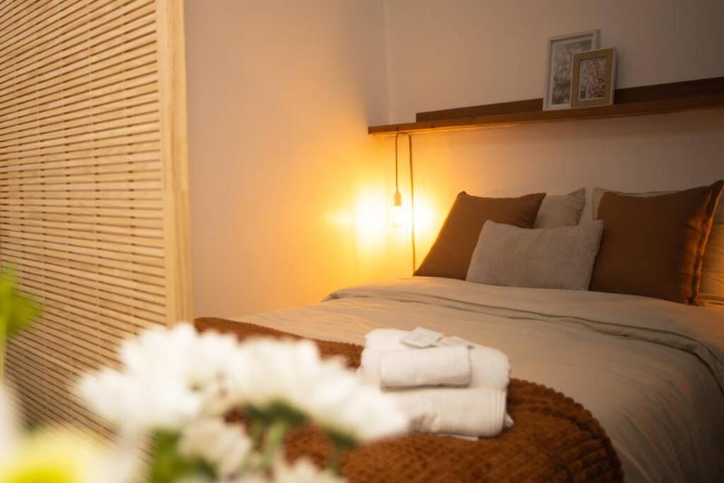 Apartment Le Boheme, Cosy, Hypercentre Grenoble